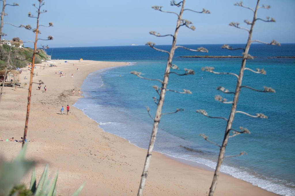 Hostal Los Pinos Саора Экстерьер фото